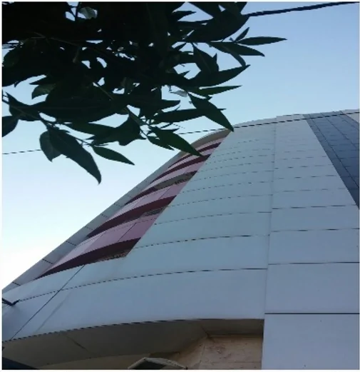 همکاری با ما 2 pavan office